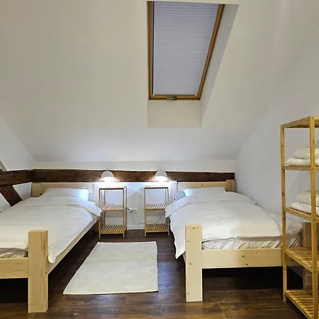 Pasic Apartment